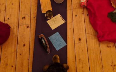 Workshop Regeneratives Engagement – für den langen politischen Atem in schwierigen Zeiten